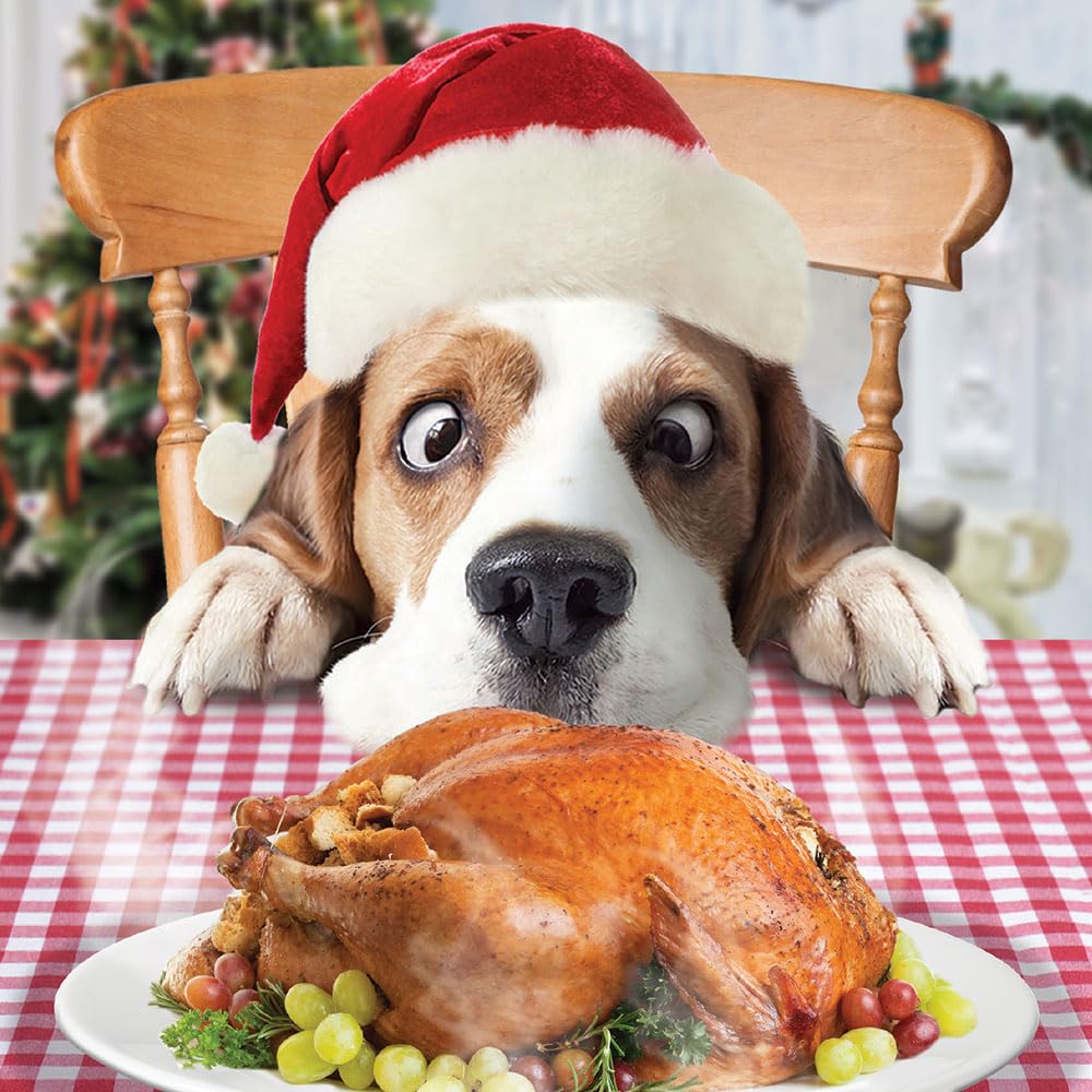 Festive Dogs Turkey Dinner Fun Party Animal - Pack of 5 Charity Christmas Cards - Sold in Aid of Marie Cancer Care