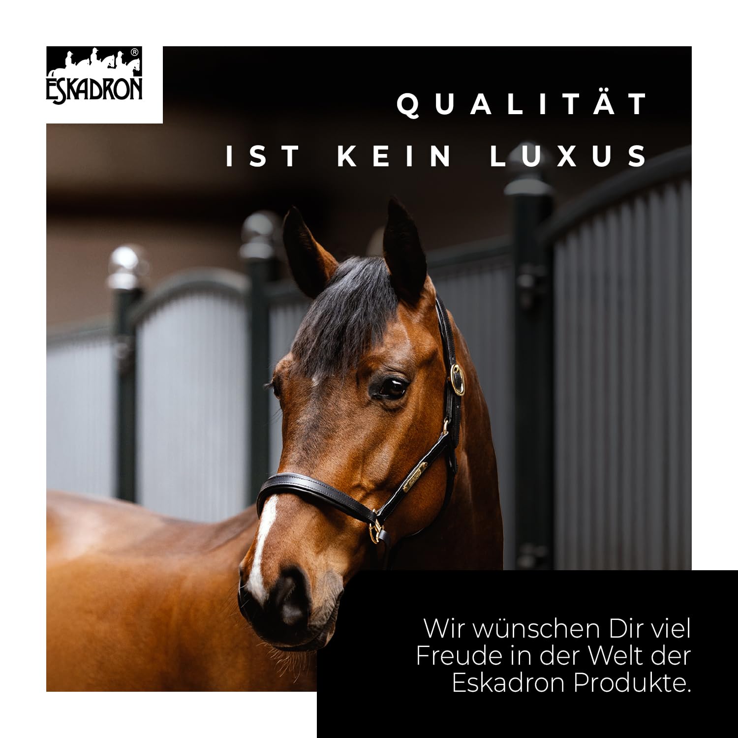 Eskadron Reithose Riding Tight PRO | Reithose Fullgrip | Sommerreithose leicht & atmungsaktiv | Reitleggings mit Handytaschen | Widerstandsfähige Reiterhose