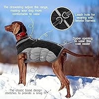 Vista 4 de FUAMEY Chaleco acolchado para perro, abrigo reflectante de invierno para perro, chaqueta de invierno cálida a prueba de viento, ropa cómoda