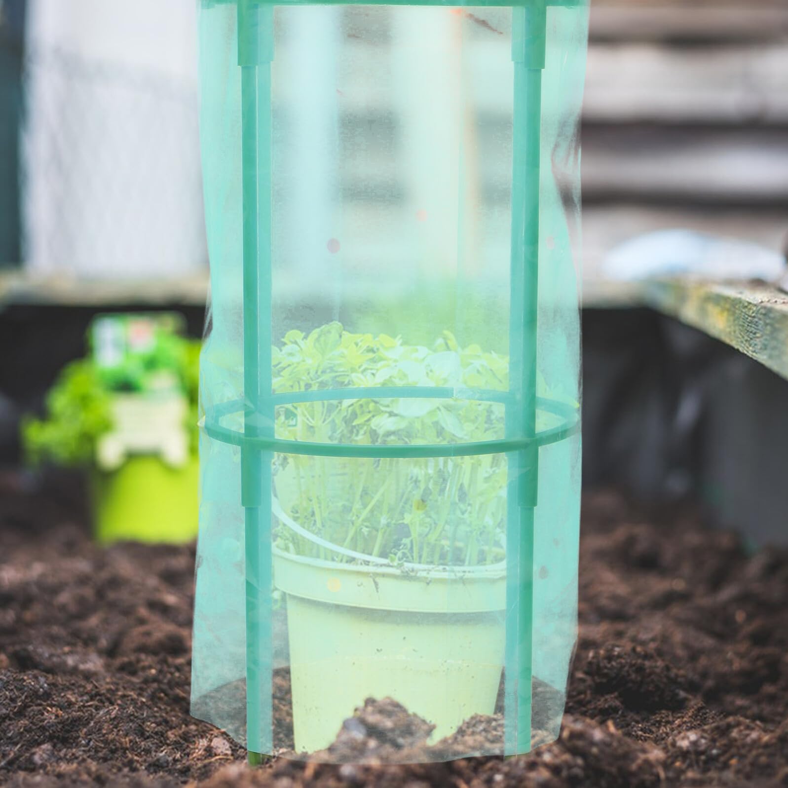 SOIMISS Protector de Plantas de Plástico Verde, 2 Piezas, para Invierno
