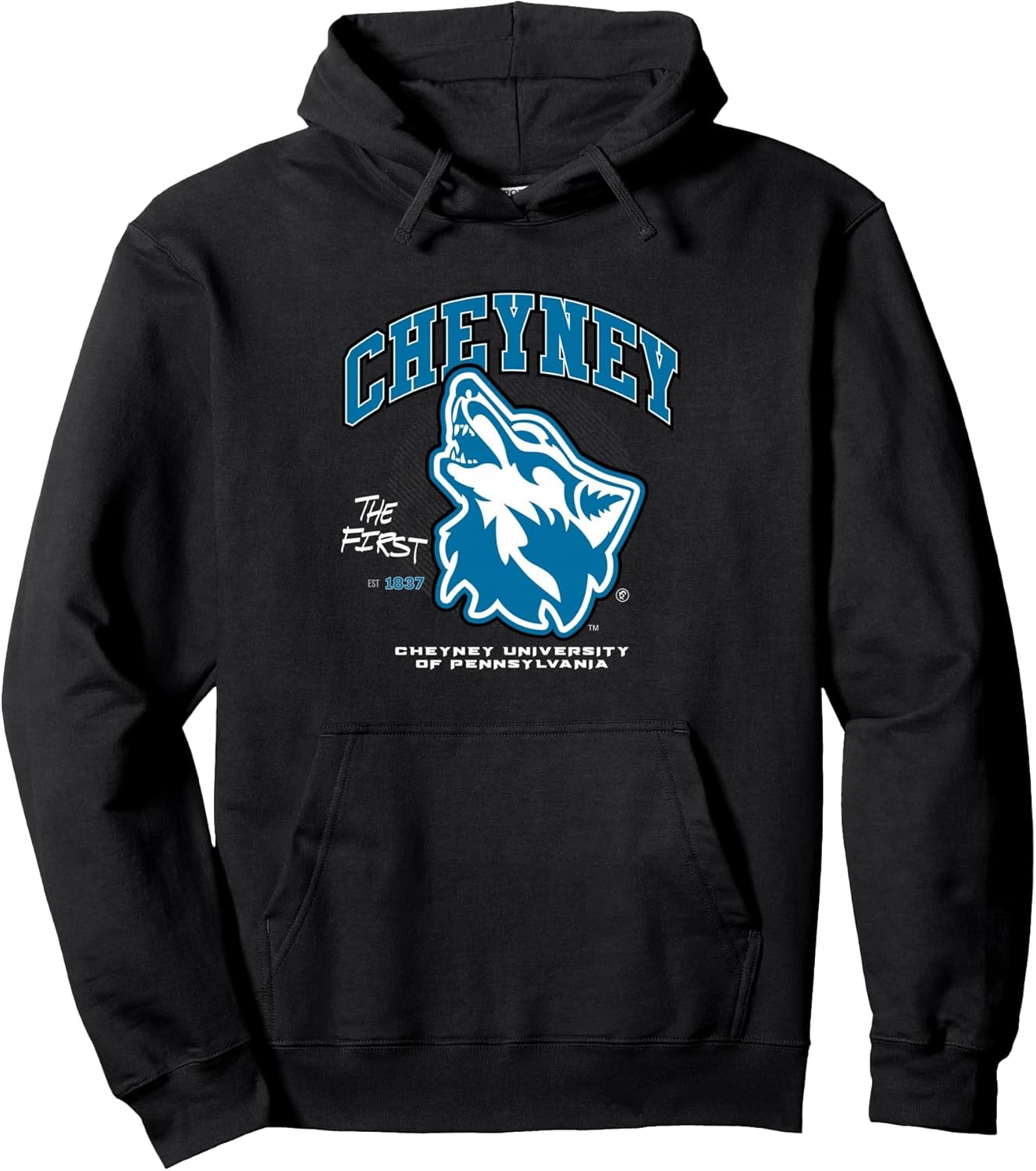 The Yard Essentials - Cheyney University - HBCU Pullover Hoodie