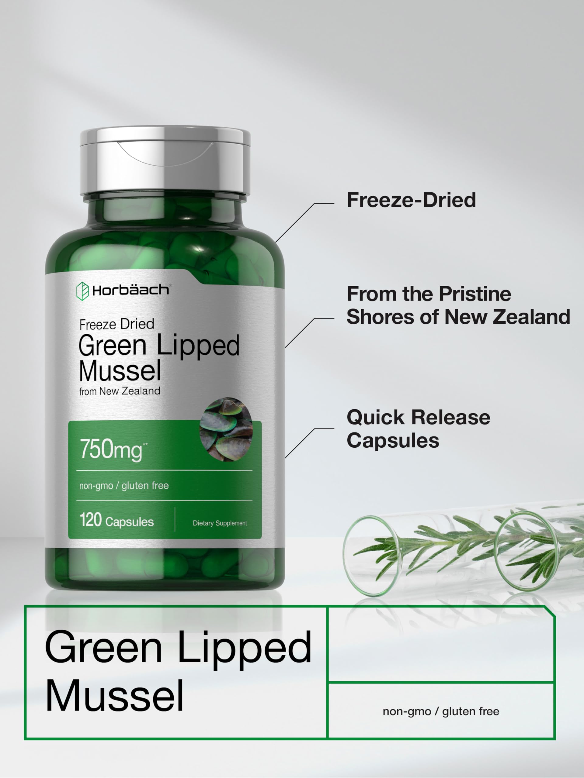 Horb&auml;ach Green Lipped Mussel |120 Capsules | from New Zealand | Premium Freeze Dried Mussel Powder | Non-GMO and Gluten Free - image 3
