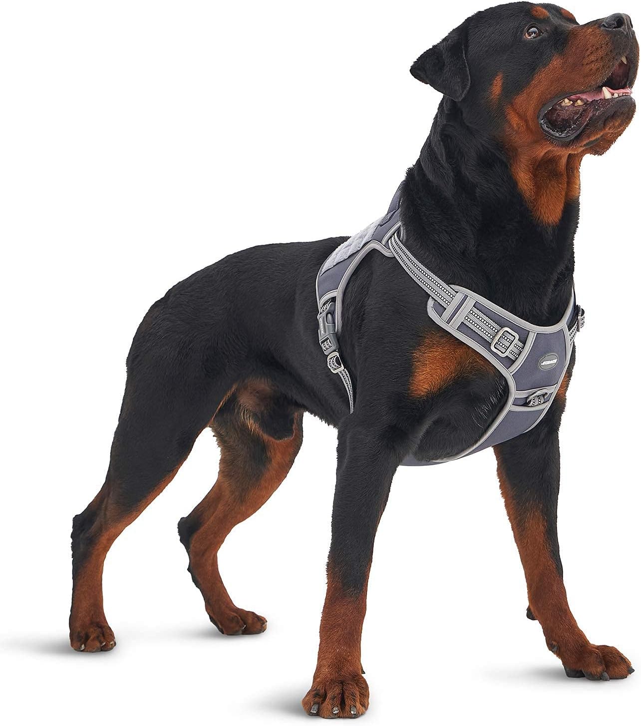 Auroth Tactical Dog Harness with 6 FT Grey Heavy Duty Dog Leash for Large Breed Dogs, No Pulling Reflective Dog Training Vest Grey L