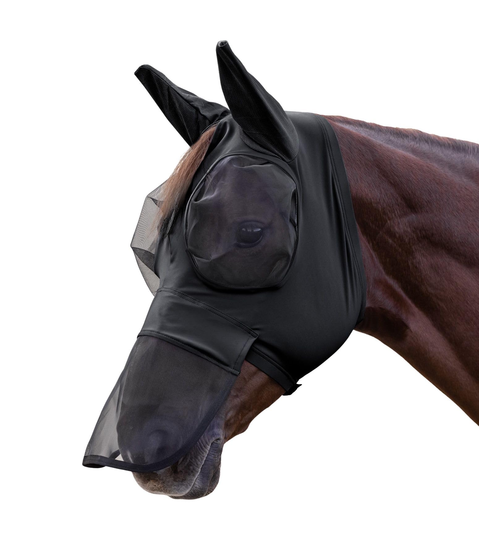 WALDHAUSEN VB - Maschera con protezione per il naso, colore: Nero