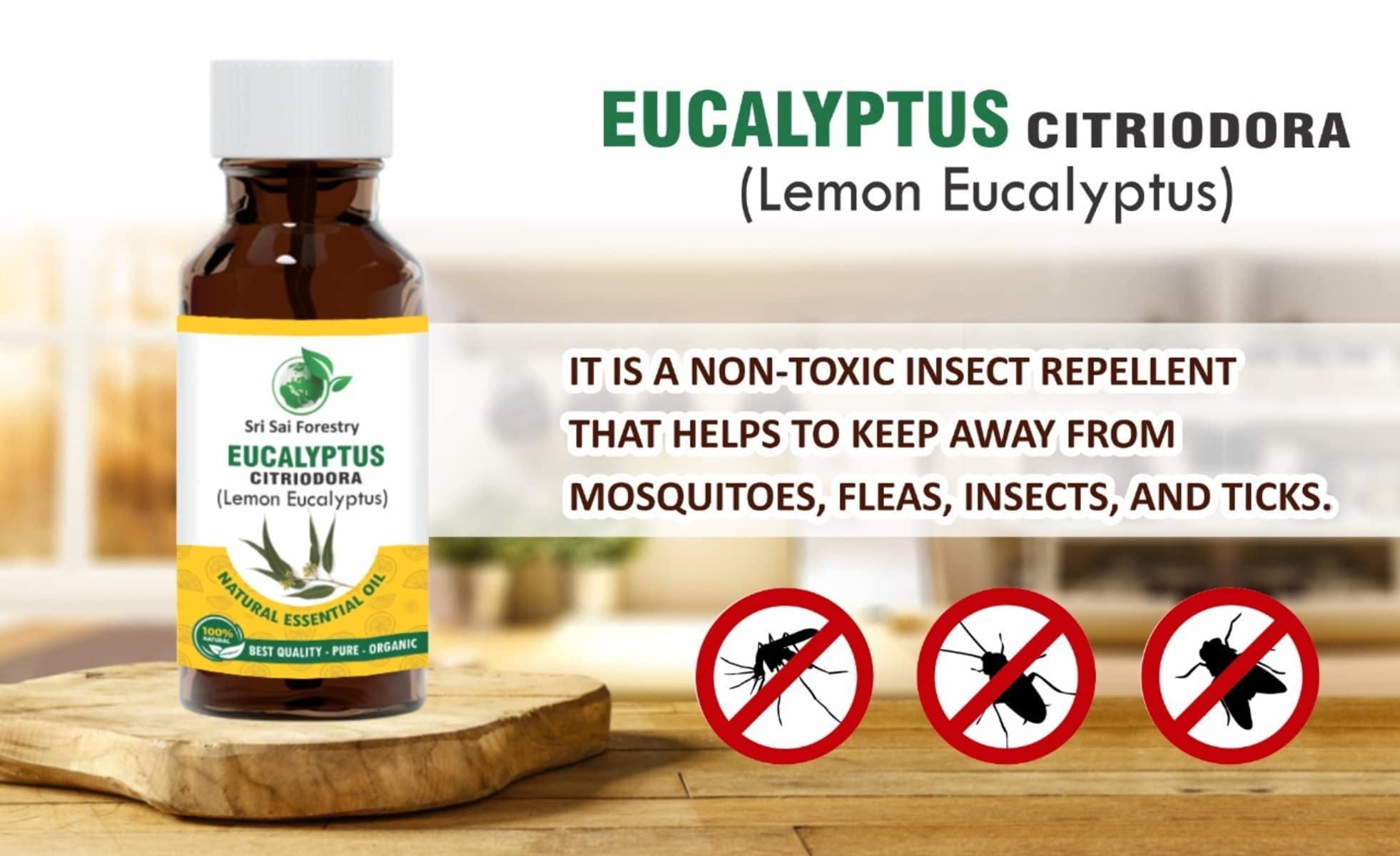 SRI SAI FORESTRY Eucalyptus Citriodora Oil β Lemon Eucalyptus - 100 ML Refreshing Lemon Scent for Aromatherapy 3
