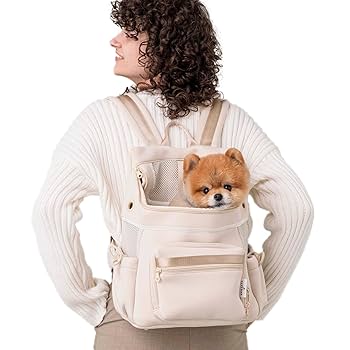 Mサイズ】citydogシティドッグ リュック キャリーバッグ オフホワイト