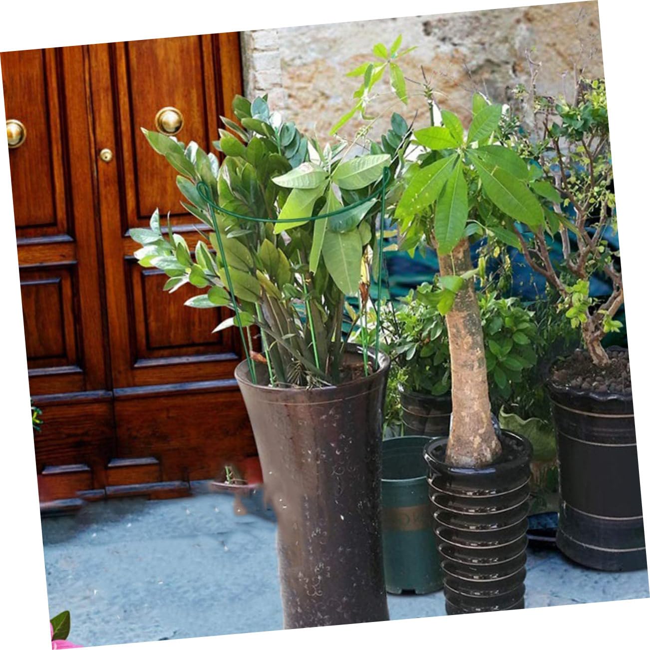 POPETPOP Tuteurs Demi-Ronds Réutilisables en Fer Vert Lot de 6 Soutien Vertical pour Plantes Grimpantes au Jardin