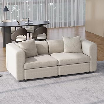 Modern Upholstered Fabric Sofa, Soft Cushioned Couch for Living Room, Stylish Contemporary Seating for Home, Apartment, Lounge and Open Spaces 2 Seater Sofa Without Ottoman