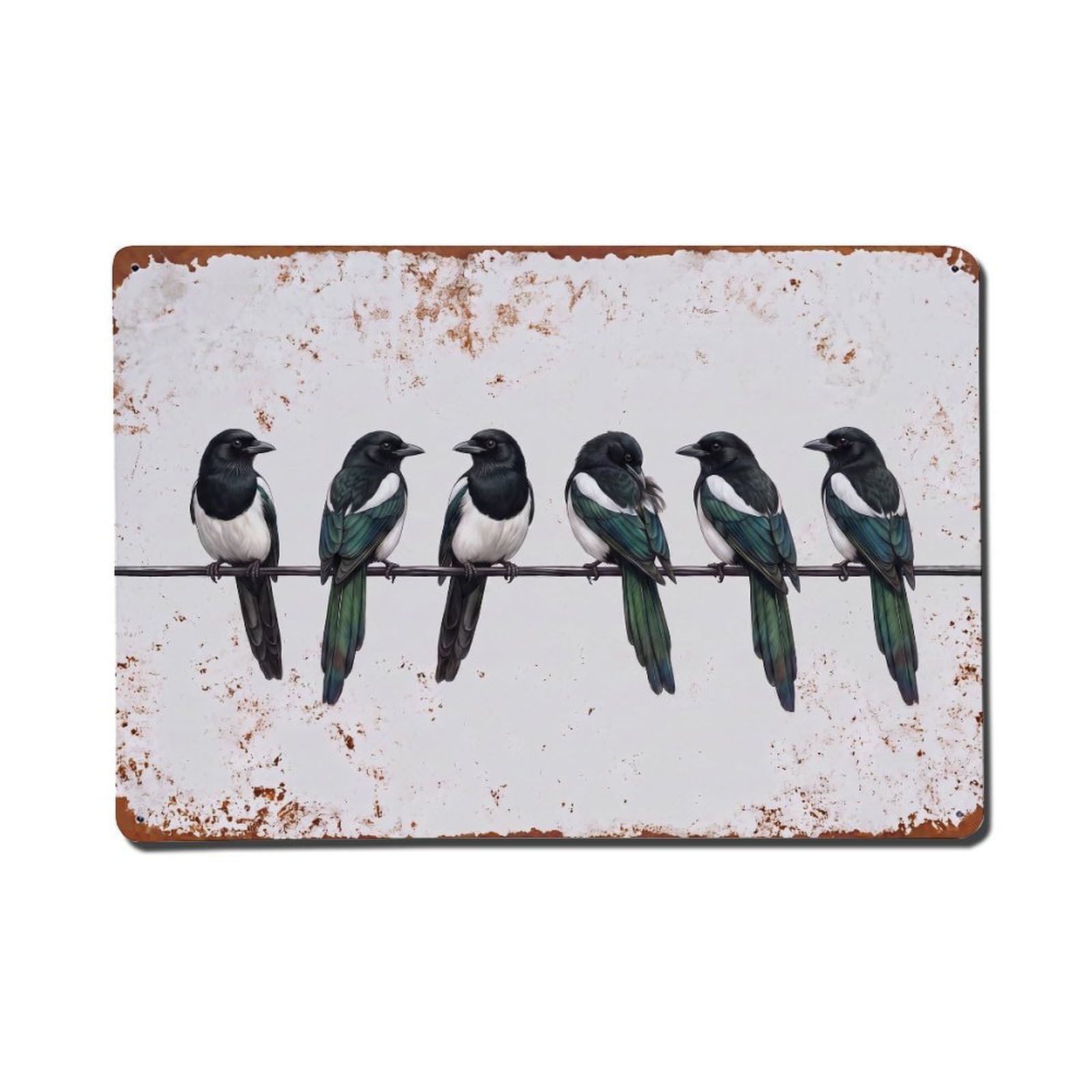 Vintage Retro Birds Eurasian Magpie Metal Tin Sign