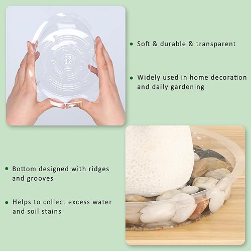 Miniatura 4 de REXOS Paquete de 40 platillos transparentes de 6 pulgadas, bandejas duraderas para macetas, platillos de plástico para macetas para interiores y