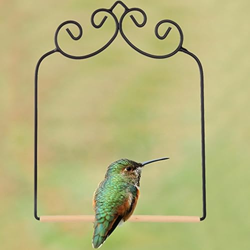 Miniatura 4 de Home-X Columpio de colibrí. Columpio de colibrí con marco de metal con clavija de madera