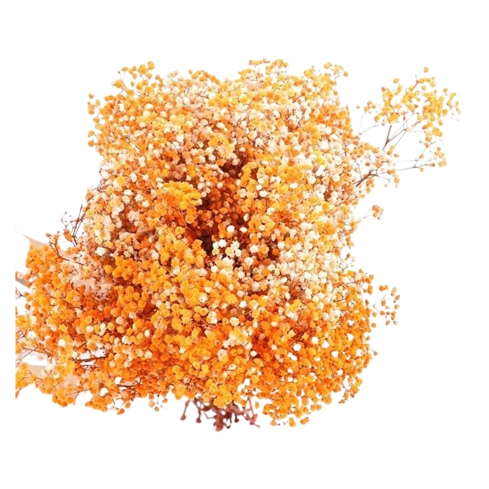 WJIAYAO dried gypsophila flowers 40-50cm Dried Flowers Gypsophila Paniculata,Baby's Breath Flower Bouquets Wedding Decoration,Home Decor(Orange,60g (40cm))