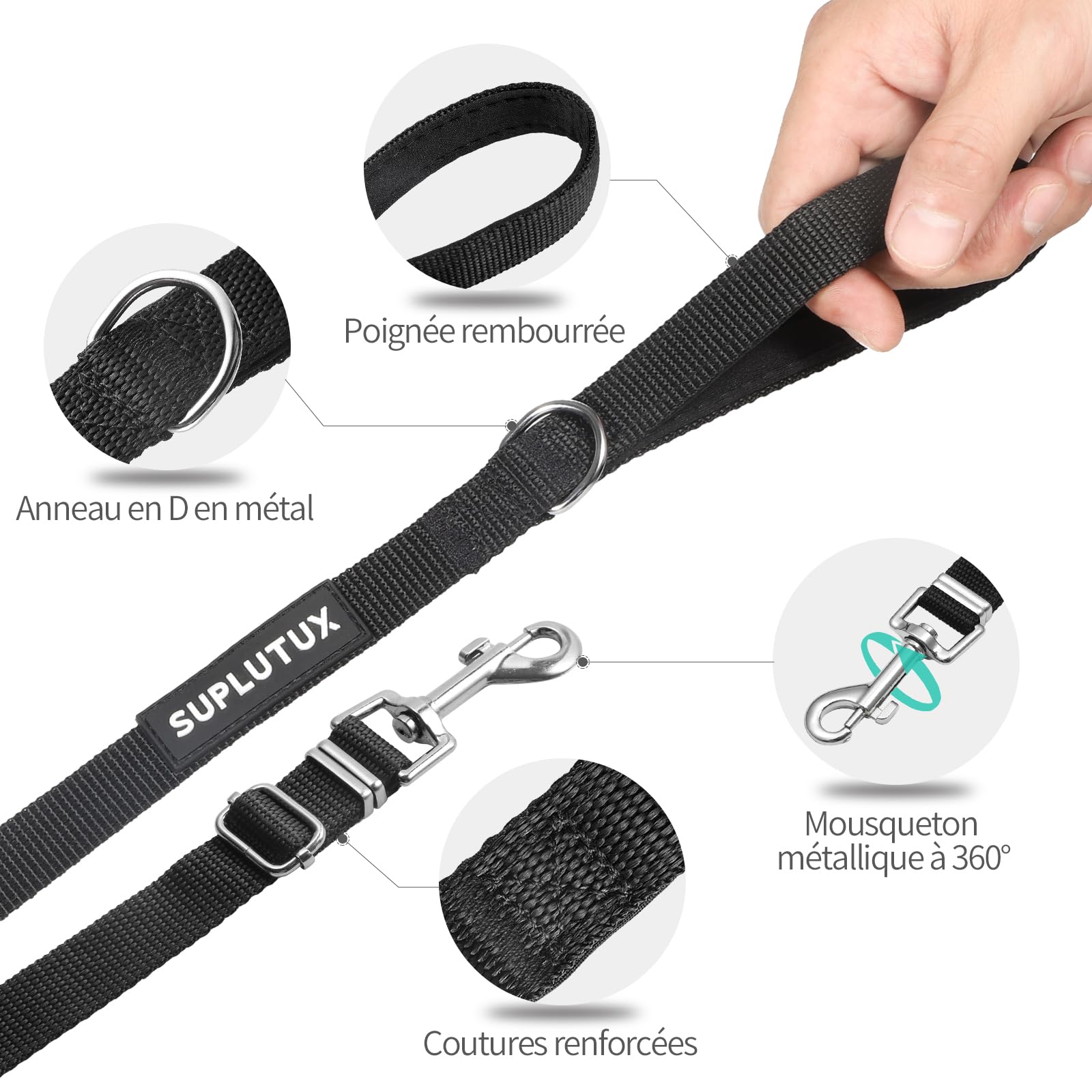 Longe pour Chien 10m Ajustable - Laisse avec Poignée Rembourrée et Rac de Rangement - Pour Chiens de Petite à Grande Taille