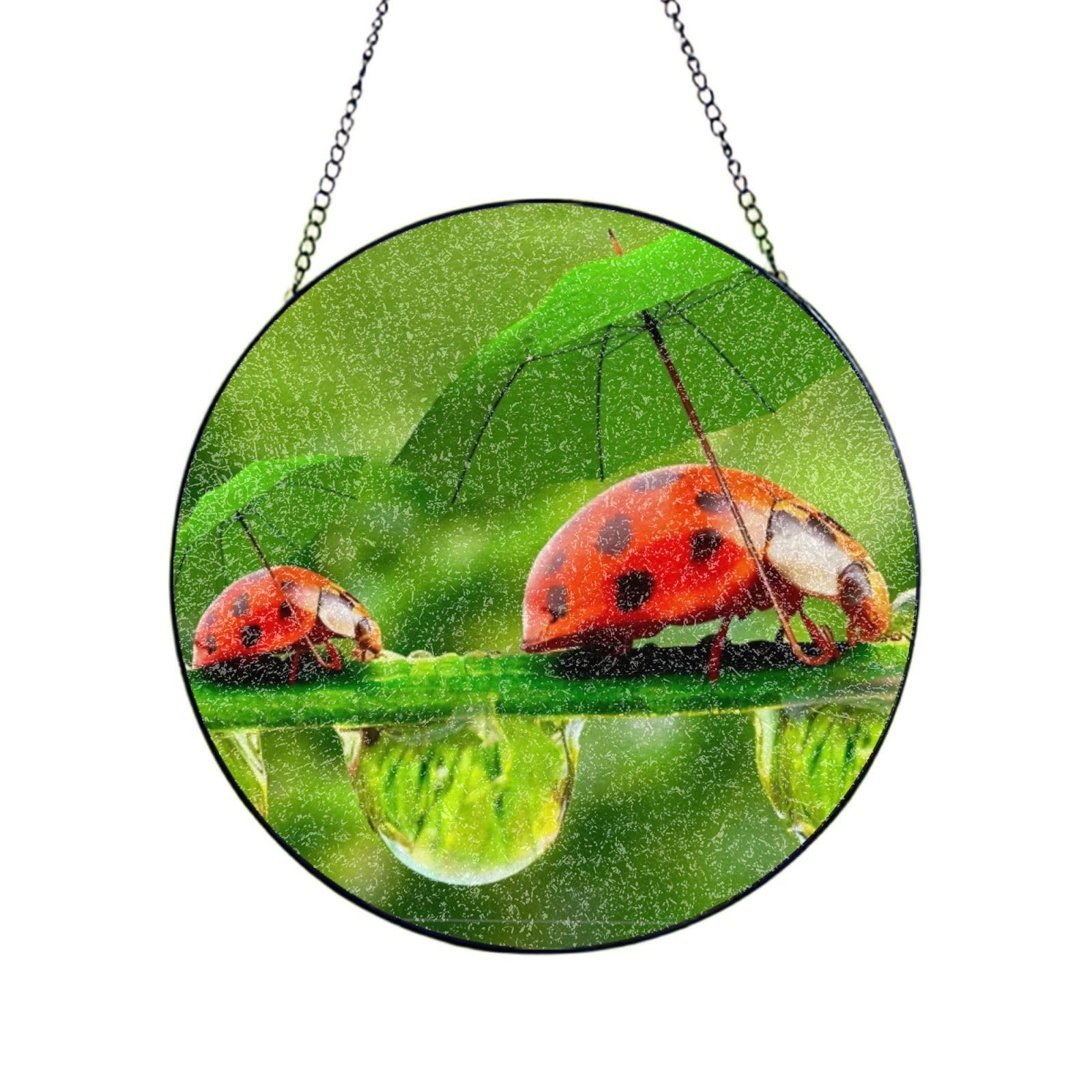 Phayah Funny Ladybug Holding Umbrellas Print Glass Window Hanging Round Suncatcher Glass Ornament Garden Wall Fence Decorations Indoor Outdoor 12in（30cm）