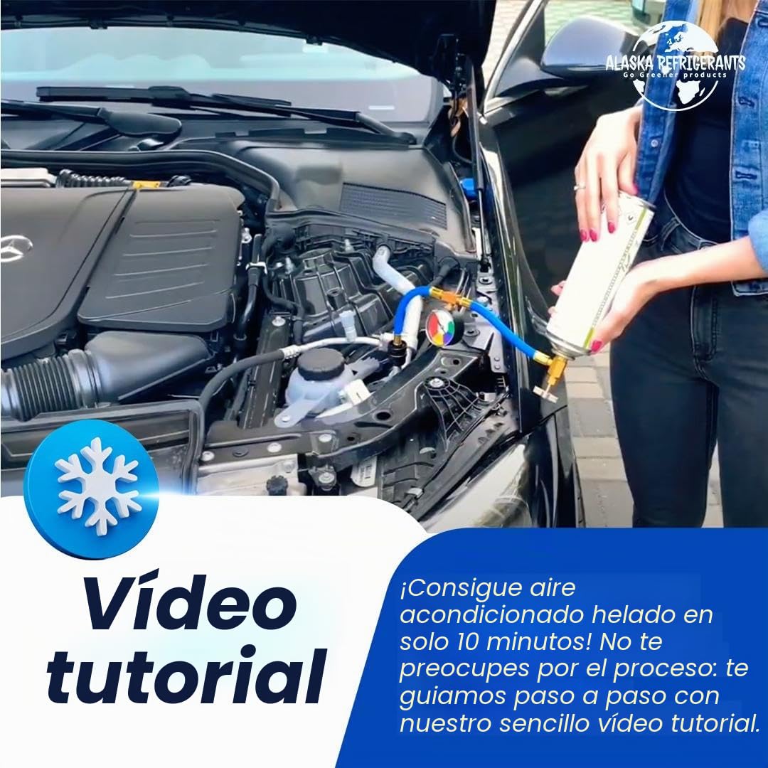 4 x Alaska Refrigerants 3 en 1 R134a refrigerante de repuesto con aceite PAG 100 y sellador