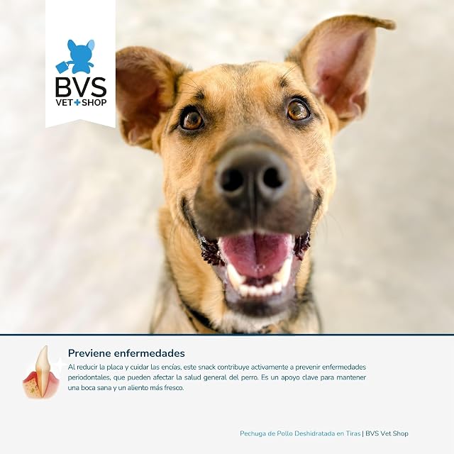 Foto 4 de 7 de BVS Vet Shop