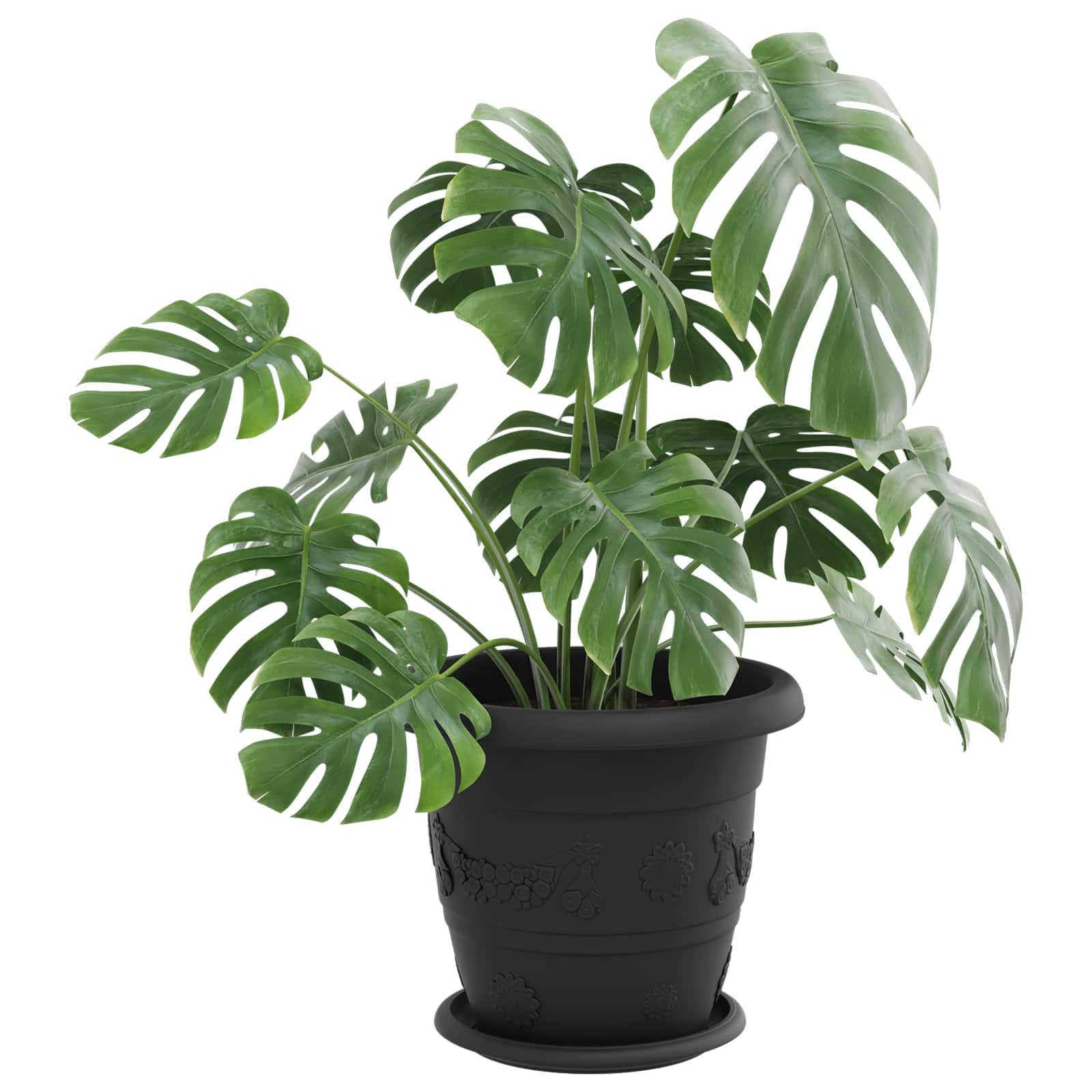Blumentöpfe 24er Set Schwarz Ø 26 x 21,5 cm, Modernes Pflanzgefäß aus Kunststoff für Innen und Außen, Zylindrische Blumentöpfe mit Entwässerungslöchern für Garten und Balkon