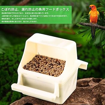 オウム用中型 鳥かご 金属製 餌入れ2個付き Amazon | 鳥ケージ 大型鳥かご 大型スチール 高強度 大型オウム