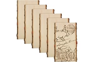 6 Pcs Hollow Wood Plank Live Edge Wood for Crafts