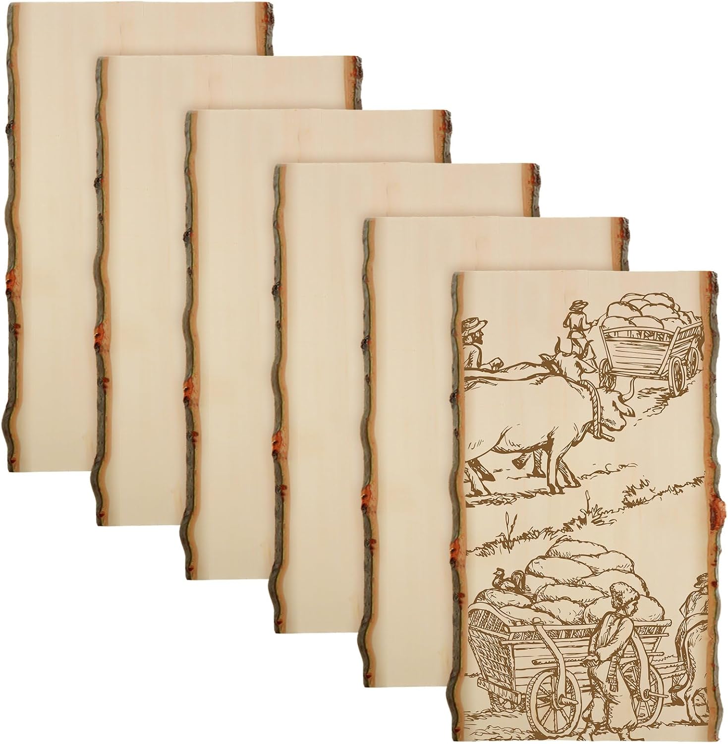 Briwooody 6 Pack Hollow Live Edge Wood Slabs - Unfinished Poplar Planks 11x7-9 Inch for DIY Crafts, Pyrography, Rustic Decor & Weddings