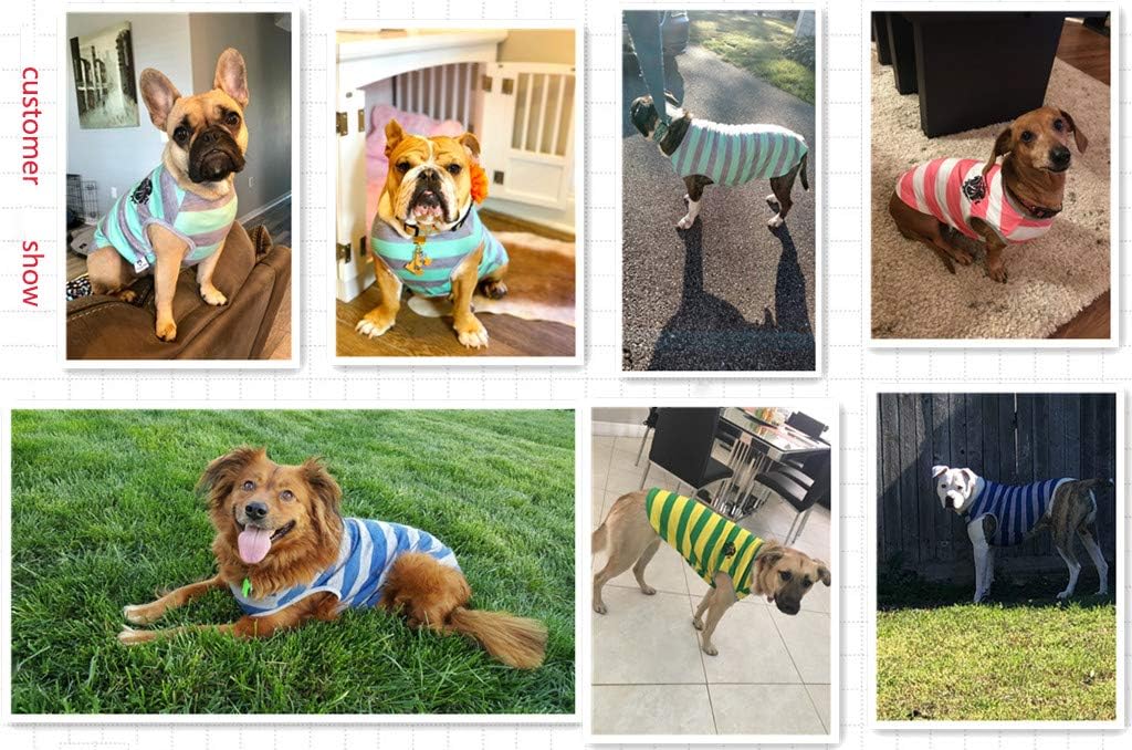 Puppy Face Dog Shirts with Wide Strips Pet Clothes Apparel for Small Extra Small Medium Large Extra Large Dog or Cat (Medium, Green and Grey) : Pet Supplies
