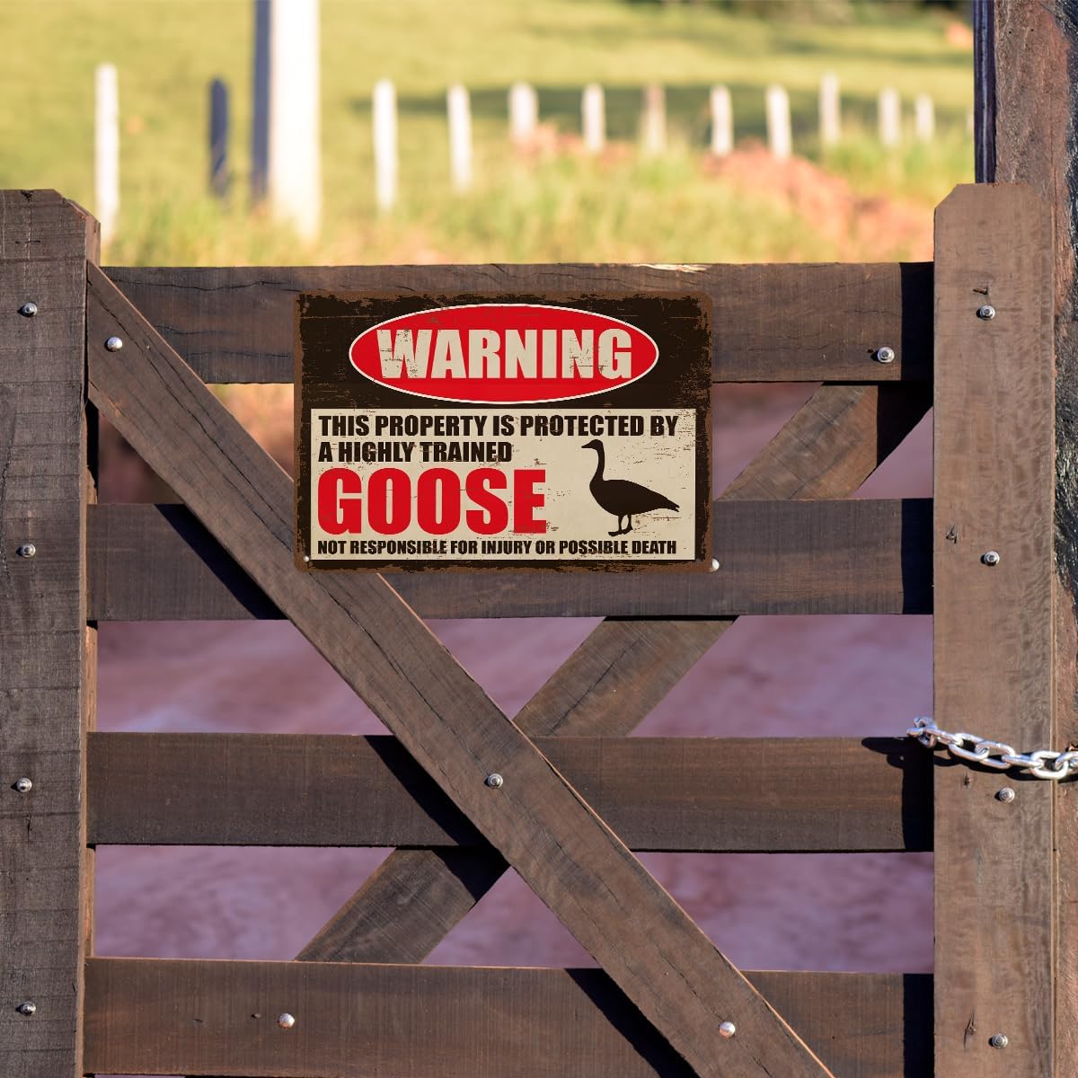 Funny Metal Sign Goose Warning Plaque, Vintage Tin Wall Decor, Rustic Farmhouse Yard Patio Barn Fence Accent, Humorous Animal Guard Theme, Indoor Outdoor Gift Men Dad, 7.9 x 11.8 Inches image 4