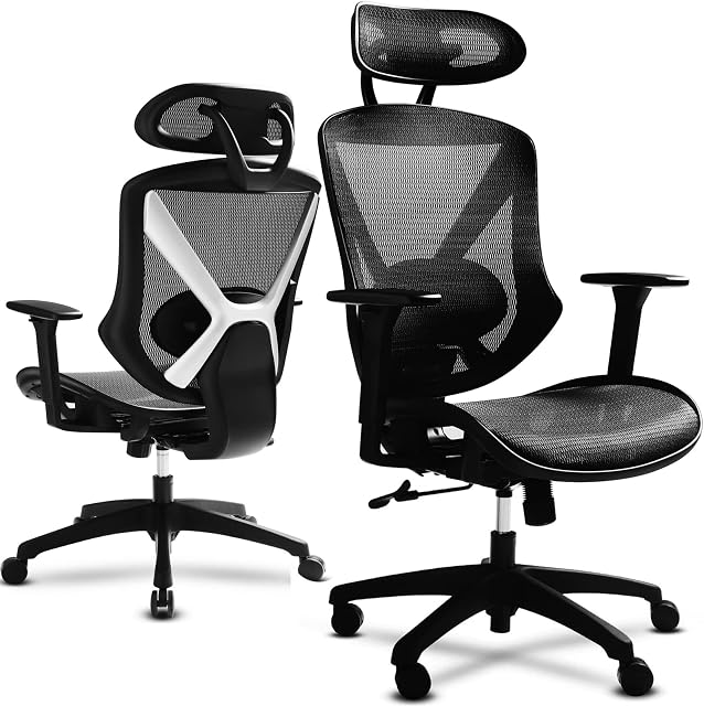 IntimaTe WM Heart Office Chair, Mesh Cushion, High Back, Strengthen Spine Lumbar Support, Ergonomic Fit with Adjustable Armrest and Headrest for Home & Office (Black)