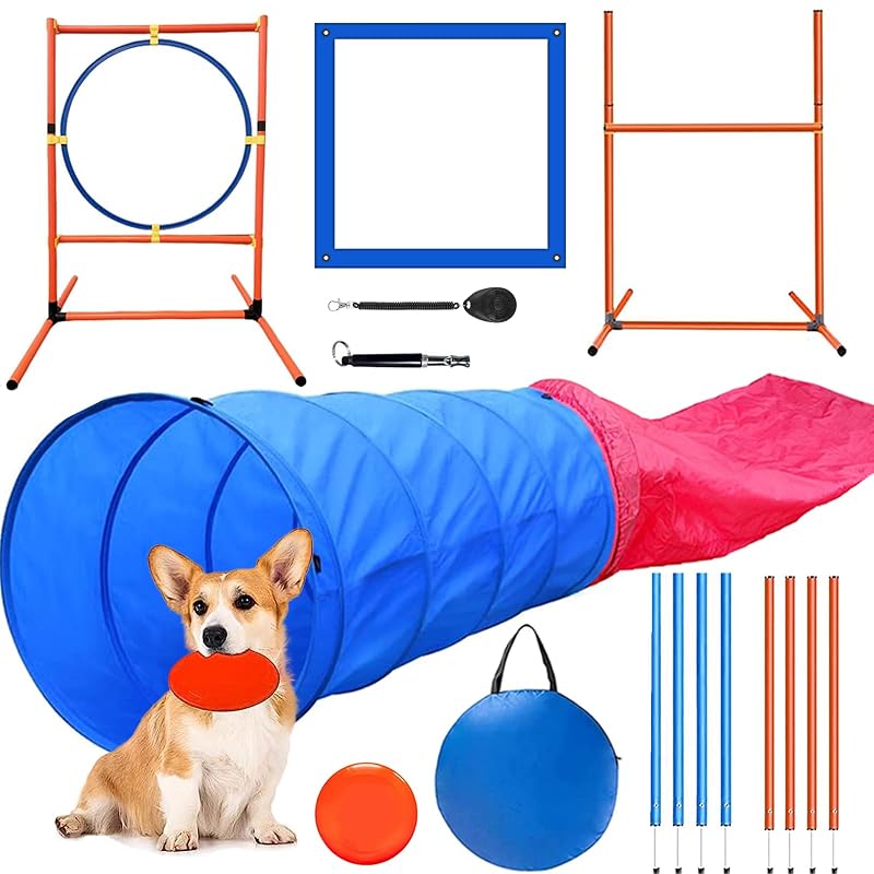 Kit de Agility para Cães Kvittra com Túnel, Saltos, Círculo e Slalom