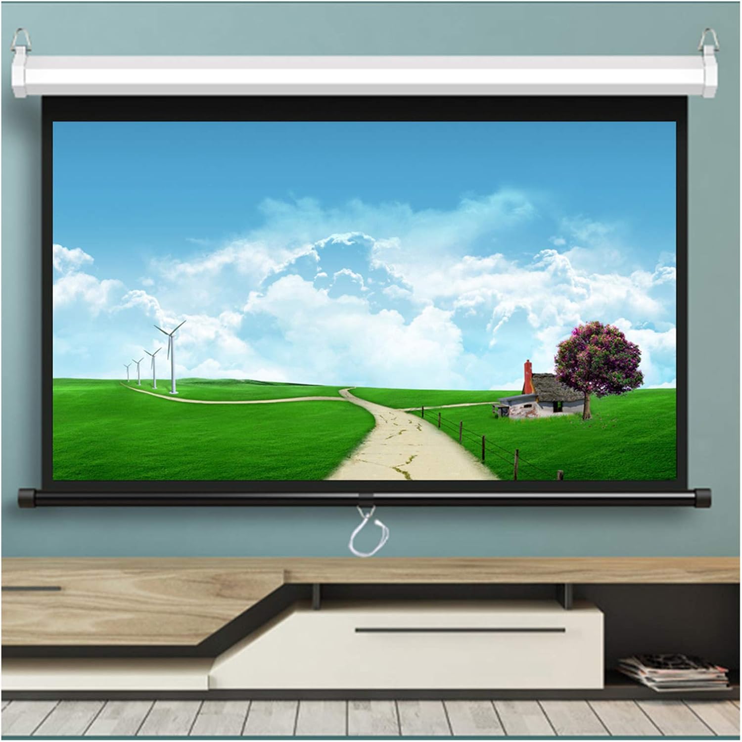 ALDS Roll Up Projection Screen 43 60 inch Projector Screen