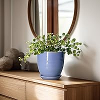 Vista 3 de Macetas de cerámica de 6 pulgadas para plantas, macetas de cerámica con orificio de drenaje y platillo, maceta para plantas de interior, maceta