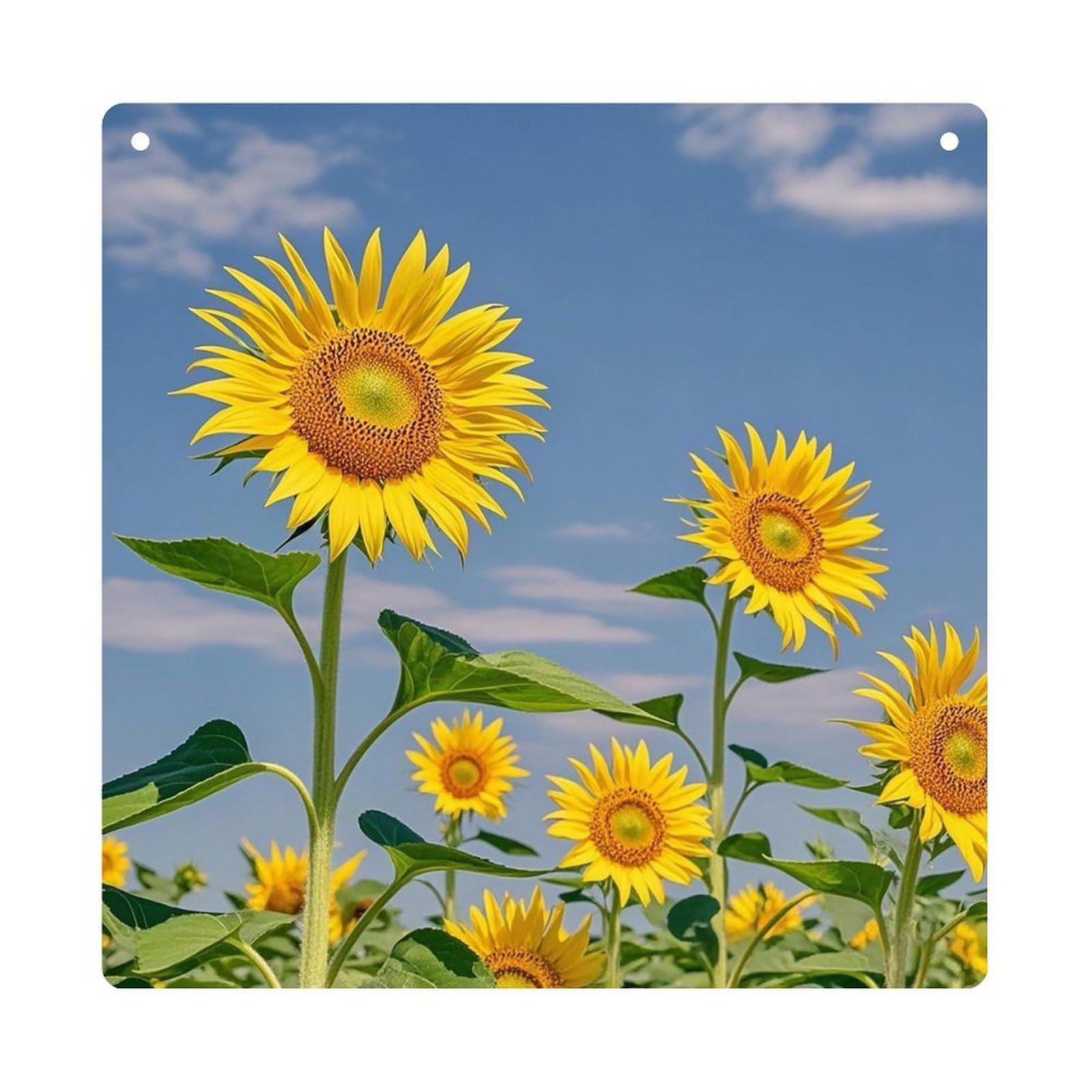 Sunflower Beauty Hanging Ornament Wall Decor Pendant
