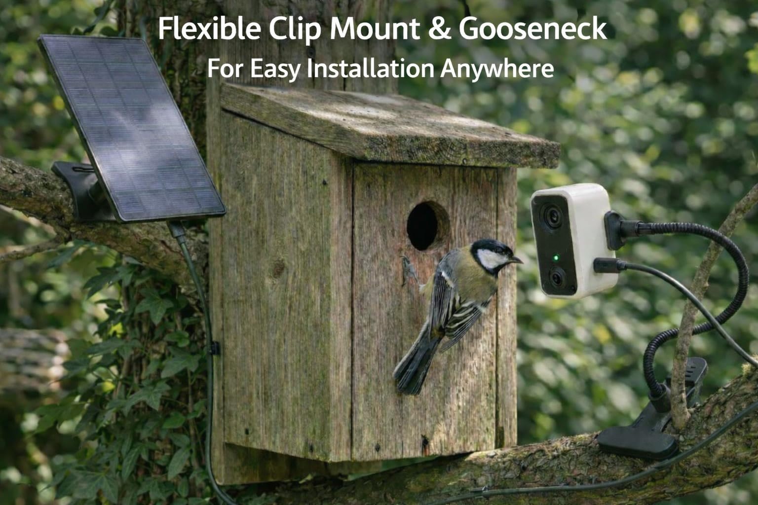 Bird Box Cámara WiFi 4MP - Cámara solar para casa de pájaros para monitoreo de entrada de caja nido, visión en vivo en la aplicación del teléfono, visión nocturna, alertas de movimiento, cámara de