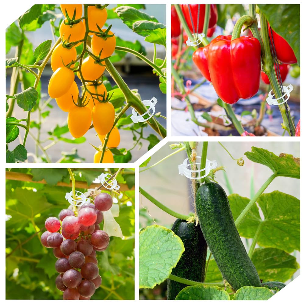200 Stück Pflanzenstützen-Gartenclips, Tomatenclips, Ernte-Clips für Weingemüse, Befestigung von Tomaten, Paprika, Auberginen, lässt Pflanzen aufrecht und gesünder wachsen