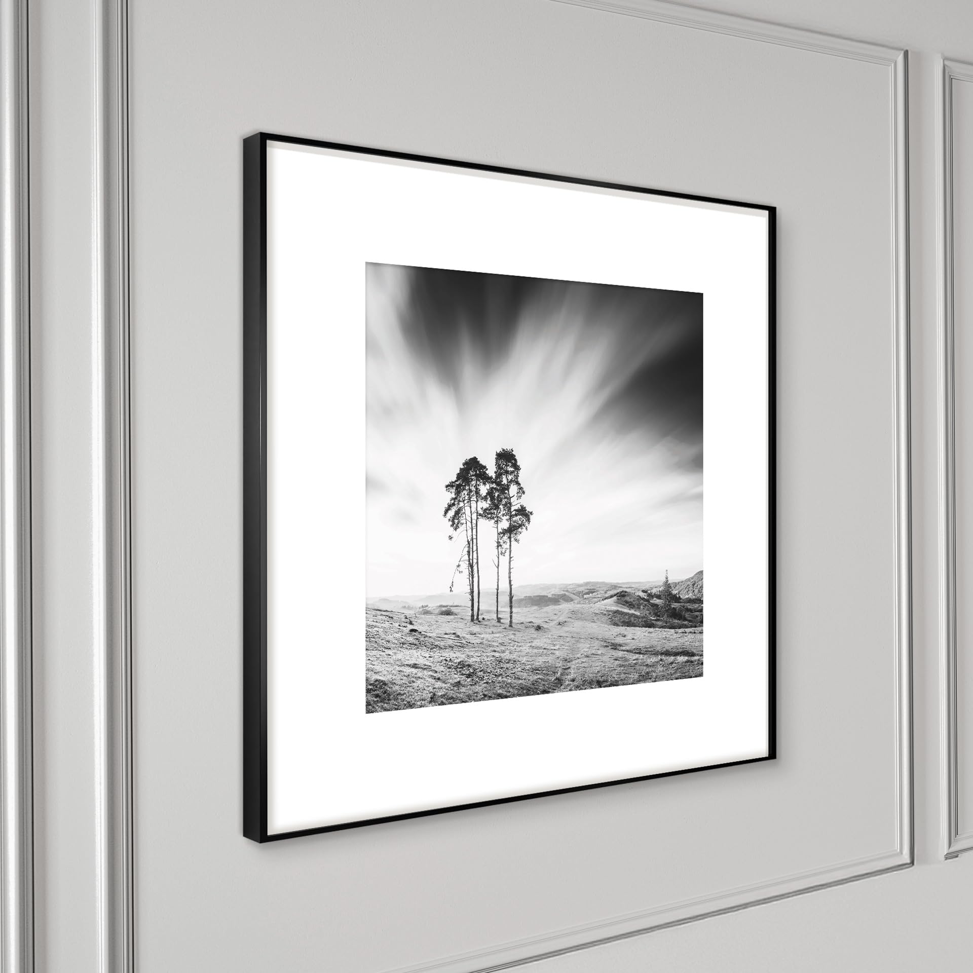 STYLER Gerahmtes Bild Trees 50 x 50 cm I Schwarz-Weiß Fotografie einsame Bäume in offener Landschaft minimalistisch I Wandbild Wohnzimmer Schlafzimmer Büro I Wanddeko Naturstil mit schwarzem Rahmen