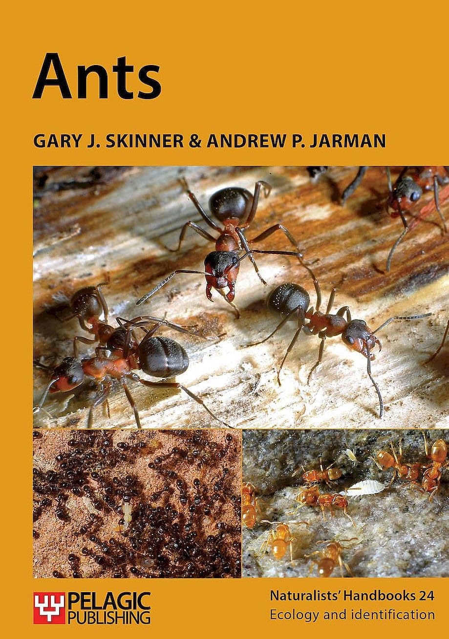 Ants (Naturalists' Handbooks 24)
