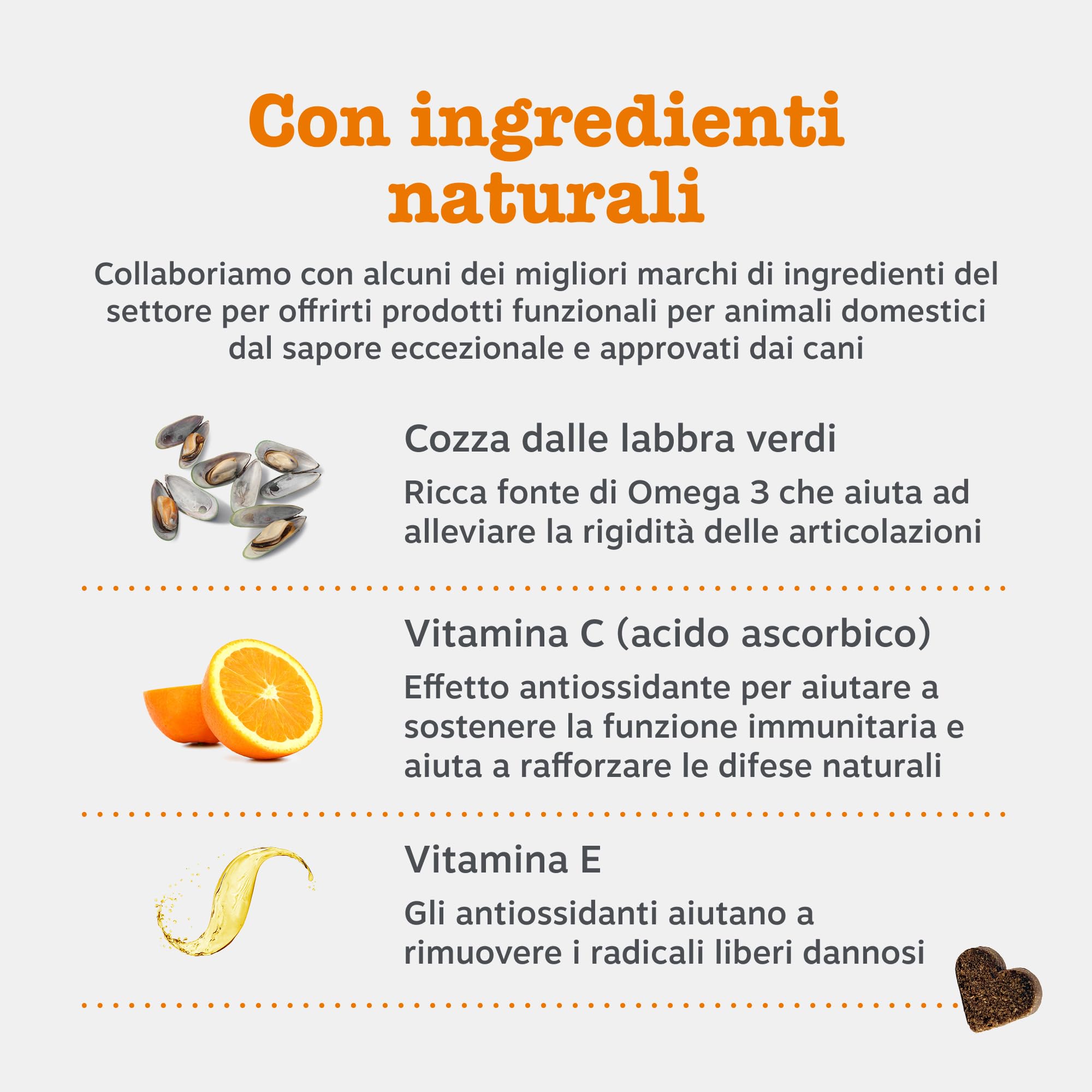 Zesty Paws Hip & Joint per Cani – Supporto Mobilità, Flessibilità Articolare, Articolazioni Rigide e Cartilagine – con Glucosamina, Condroitina e Cozza Verde – 90 Bocconcini