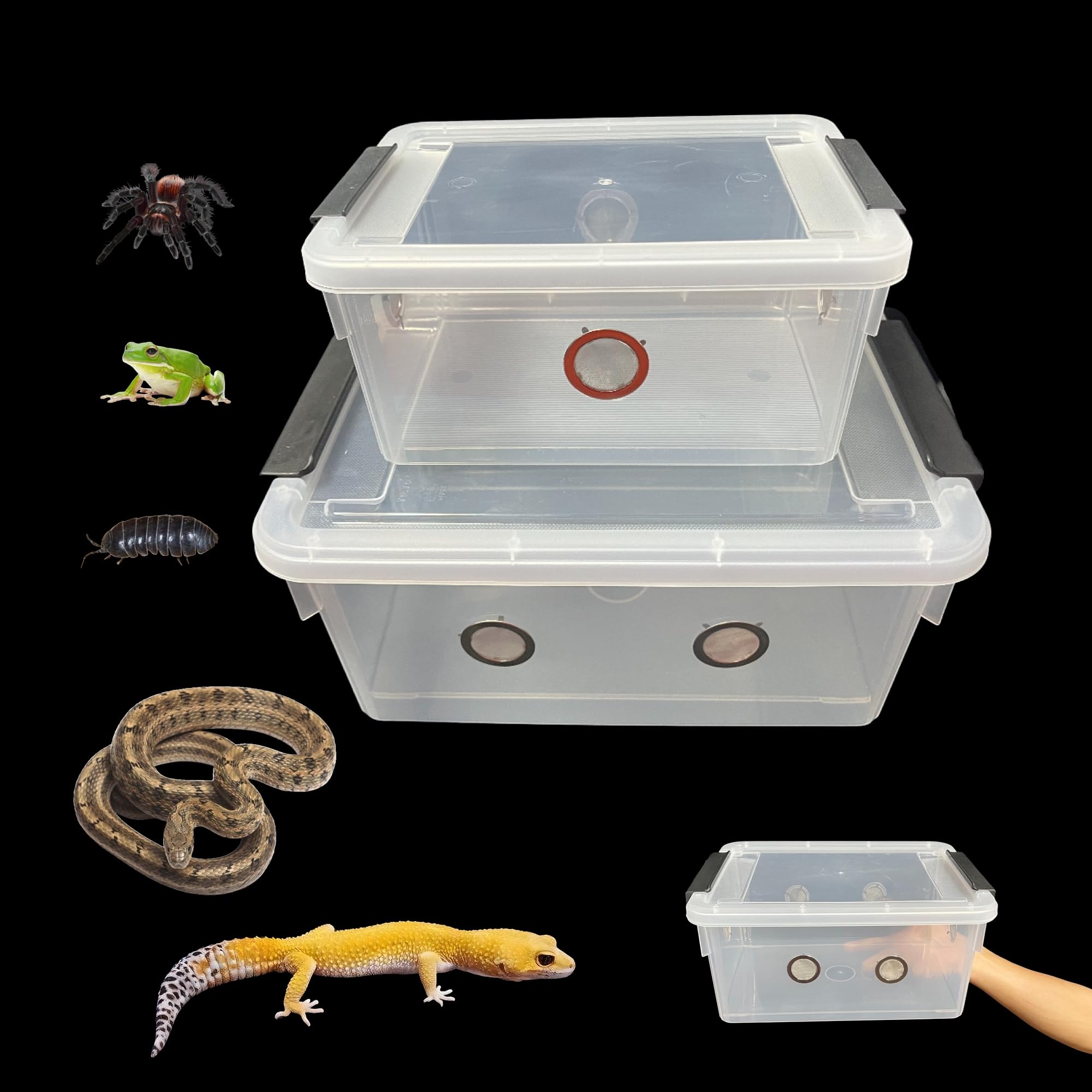 Amazon.com : 2pcs Large Reptile Feeding Box Snake Breeding Box