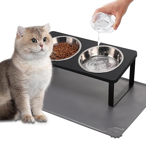 Upgraded Elevated Cat Bowls with Food Mat,15°Tilted Stand Anti Vomiting Raised Cat Dishes for Food and Water,2 Stainless Steel Bowls for Cats and Puppy（Black） - Black-2Bowls