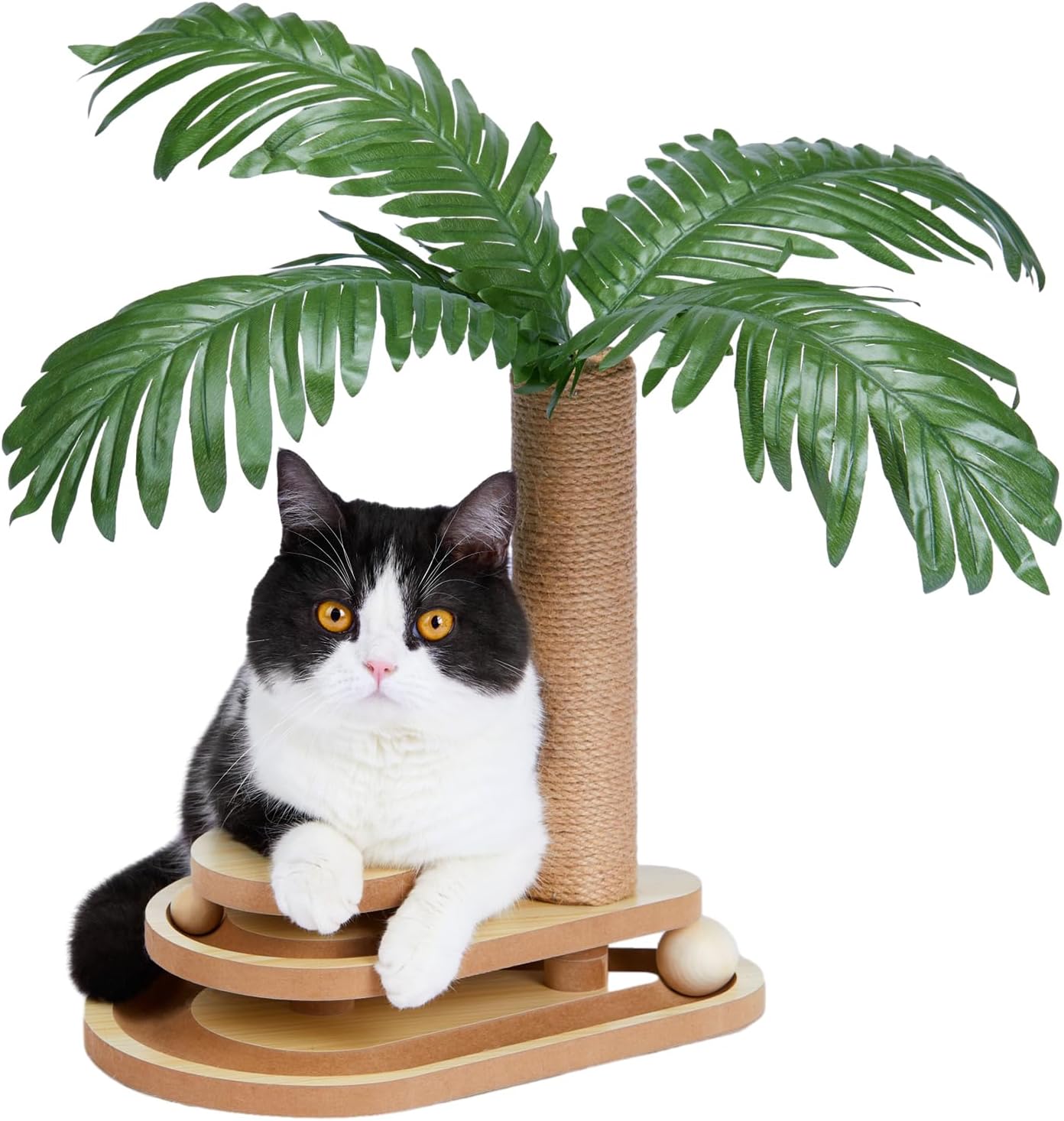 Yuqori mushuk Yuqori mushuk