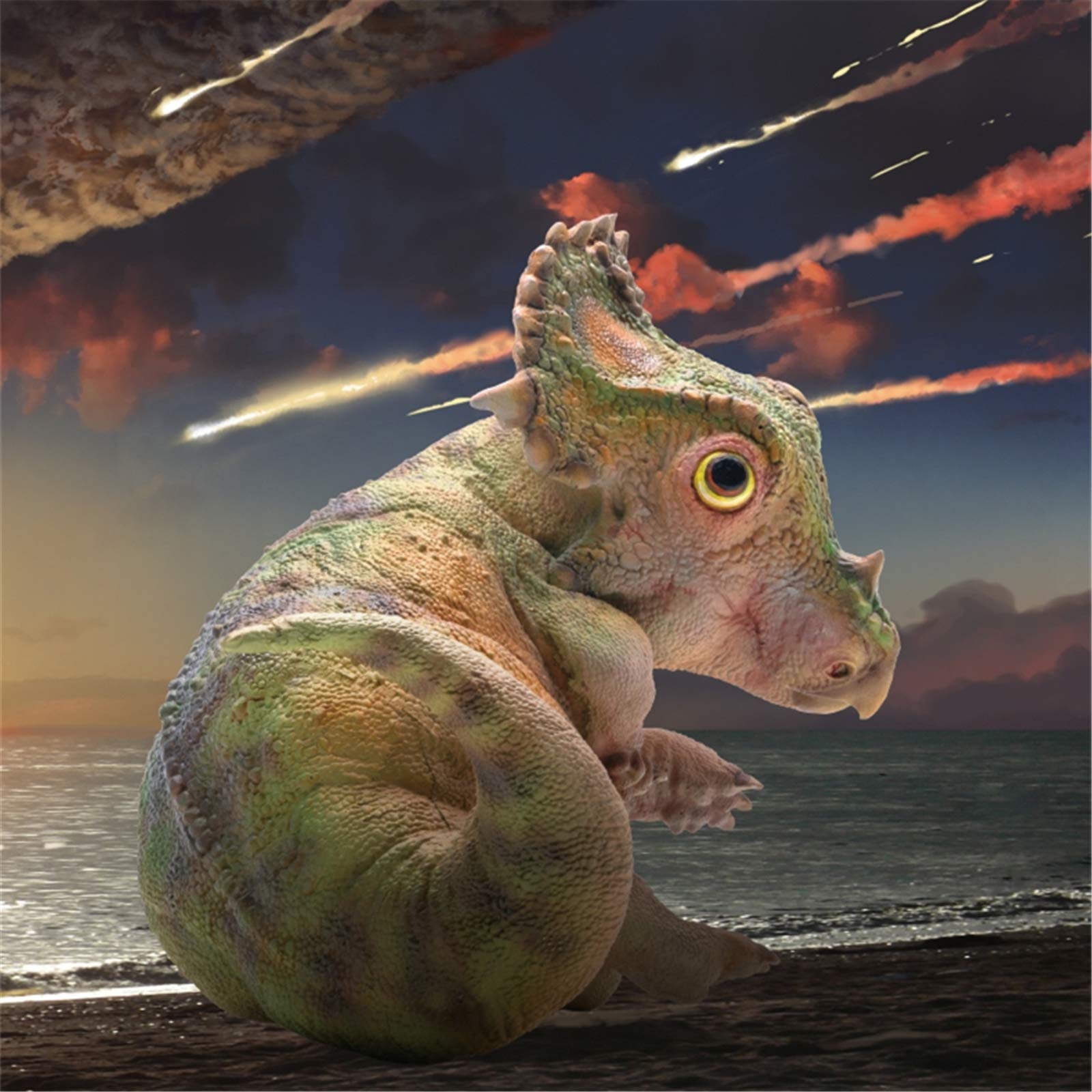 きょうりゅう Amazon | PNSO 恐竜大王 先史時代の動物 27 赤ちゃん シノ