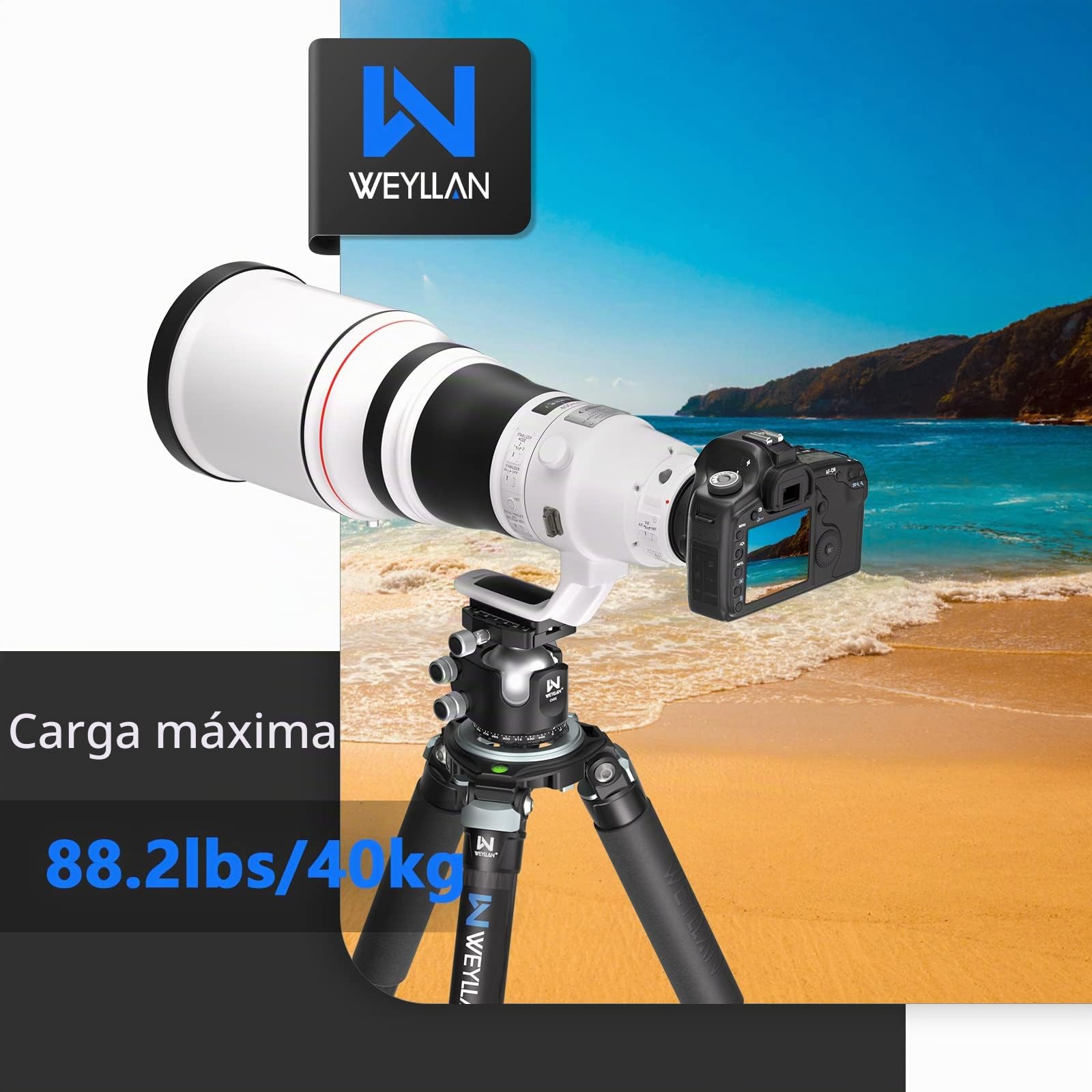 WEYLLAN Trípode Fibra Carbono 160cm, Trípode Cámara con Pata De 40mm, Carbono Tripode Video Profesional De Cámara para Cinematografía, Cámaras DSLR, Binoculares, Cabeza De Bola, Carga 40kg