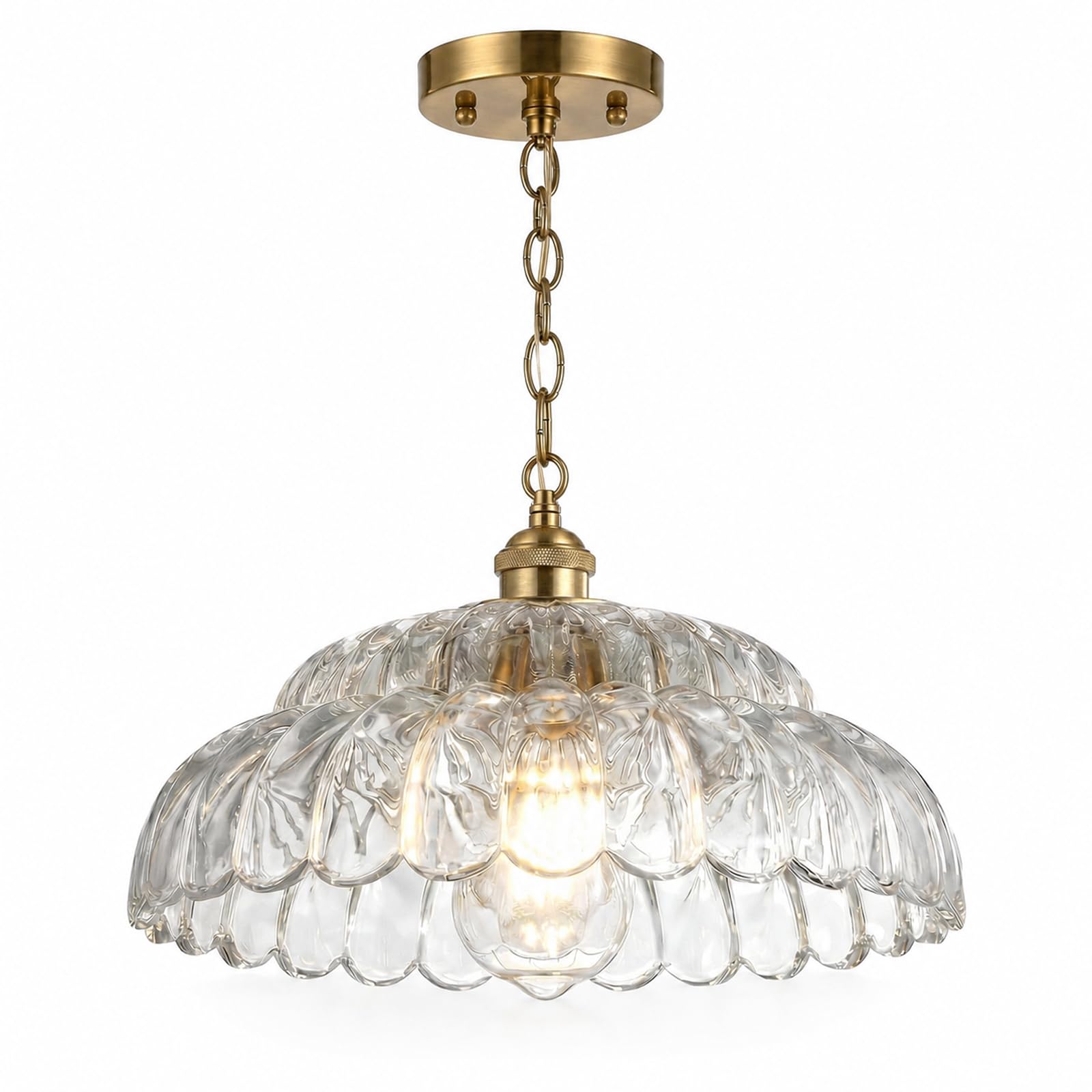 HJXDtech Vintage Glass Pendant Light 30cm Clear Petal Shade E27