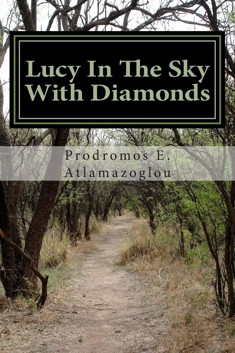 Lucy In The Sky With Diamonds: A Novel