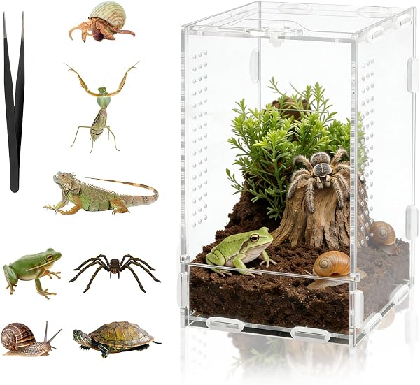 DARANYI Terrarium à Escargots en Acrylique, 20x12x11cm Transparent Vivarium avec Trous d'air, Boîte d'alimentation d'insectes, pour Araignées, Grenouilles Cornues, Lézards, Escargot et Autres Reptiles - 1