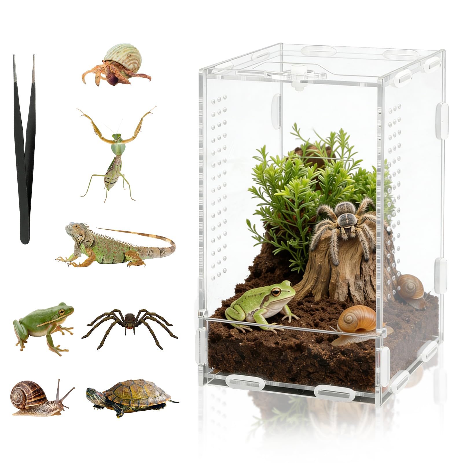 DARANYI Terrarium à Escargots en Acrylique, 20x12x11cm Transparent Vivarium avec Trous d'air, Boîte d'alimentation d'insectes, pour Araignées, Grenouilles Cornues, Lézards, Escargot et Autres Reptiles - 1