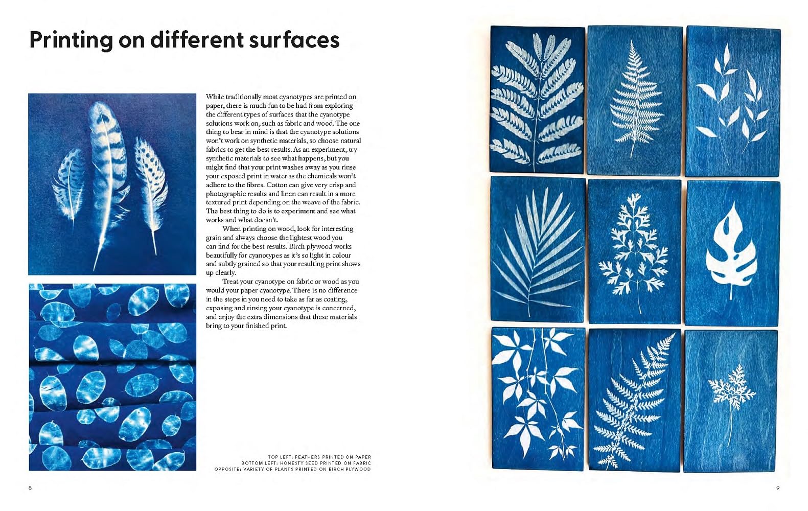 Cyanotype: Learn in a Weekend