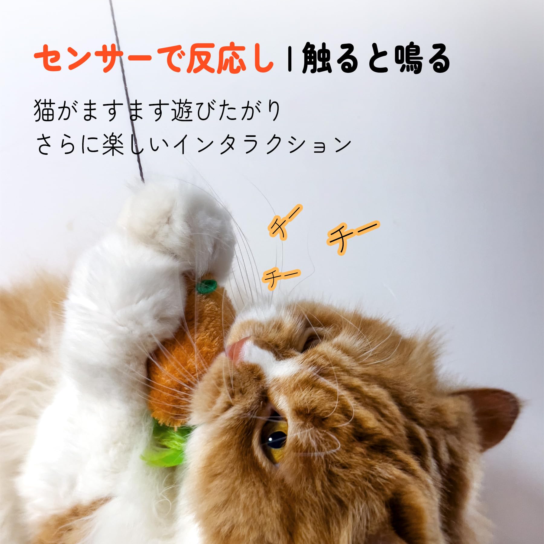 Amazon.co.jp: 六猫（SixMeow）猫おもちゃ、猫トンネル、猫 おもちゃ
