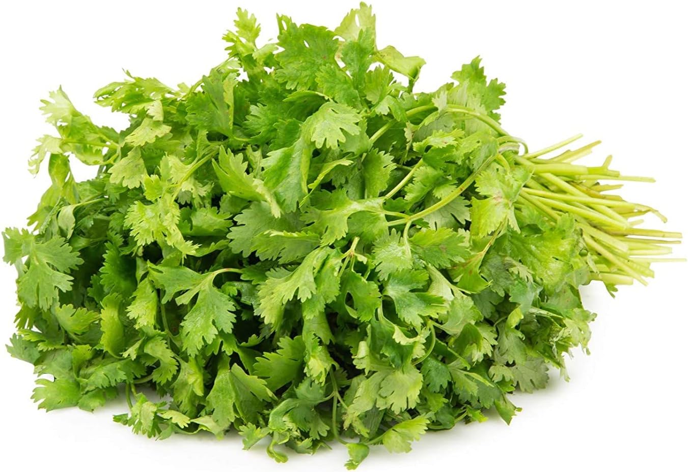 Coriander Leaves, 100 g