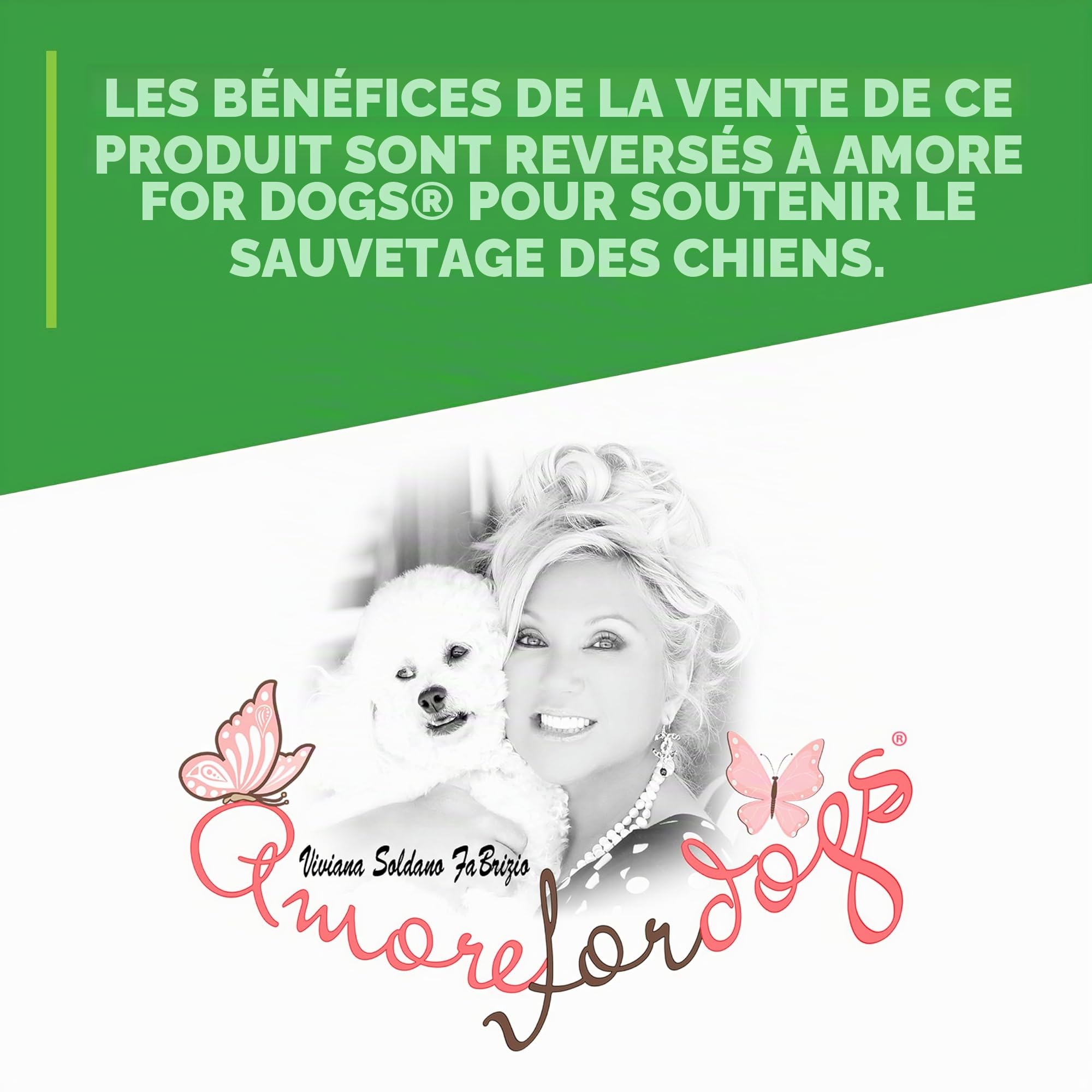 Simple Green – Éliminateur d'odeurs d'extérieur pour animaux domestiques, chiens, idéal pour gazon artificiel et terrasse (pulvérisateur de 910 ml et recharge de 4,5 L)