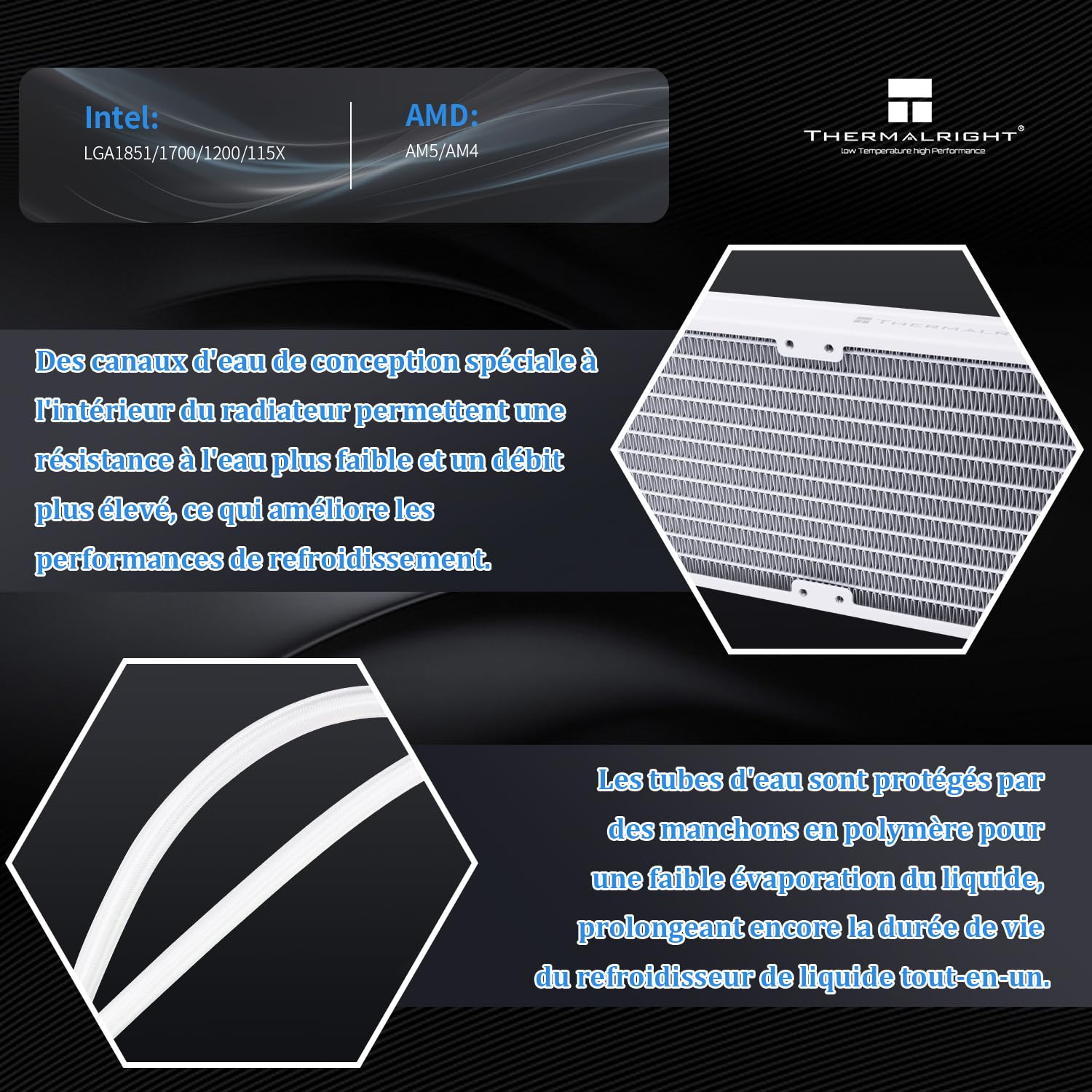 Thermalright Aqua Elite 240 V5 ARGB - Raffreddatore liquido CPU bianco 240 mm, 2 ventole TL-S12-W PWM, per AM4/AM5, Intel LGA115X/1200/1700/1851 AIO
